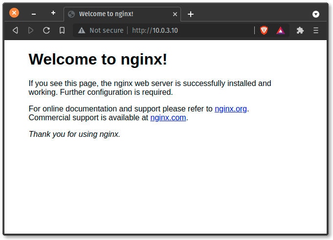 screenie of nginx in browser